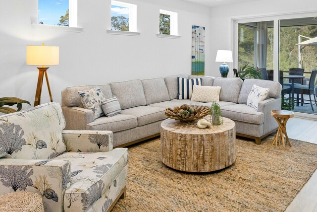 living room with hardwood / wood-style floors and a healthy amount of sunlight