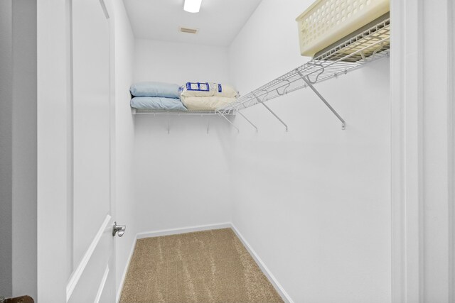 walk in closet featuring carpet flooring