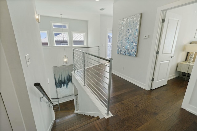 stairs with hardwood / wood-style floors