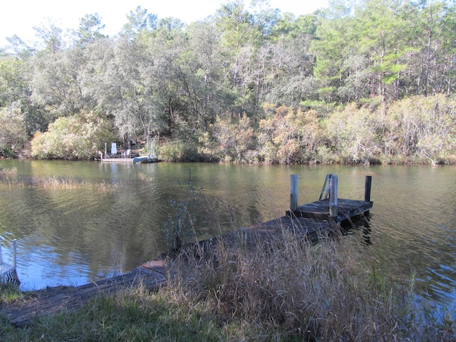 dock area featuring a water view