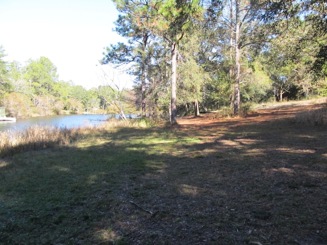 view of yard featuring a water view