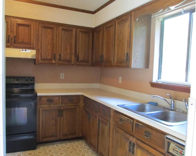 kitchen with dishwasher, black electric range oven, crown molding, and sink