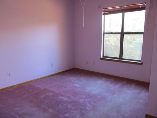 spare room with carpet floors