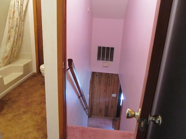 staircase with carpet flooring and wood walls