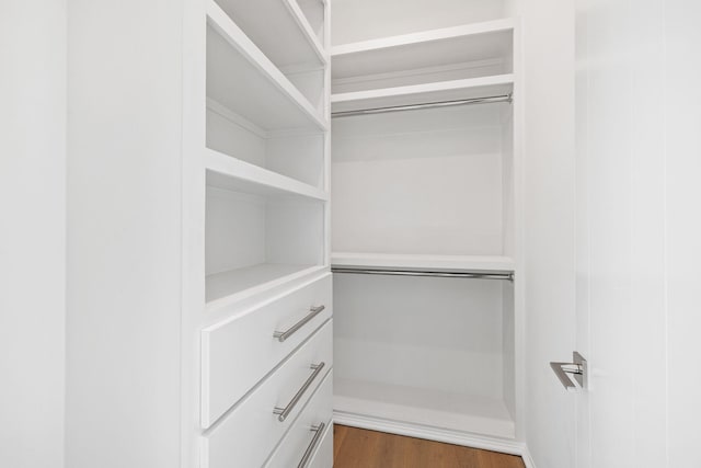 spacious closet featuring dark hardwood / wood-style flooring