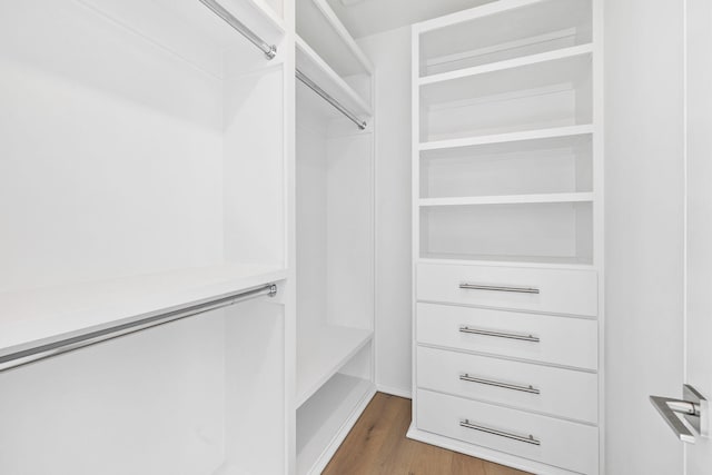 spacious closet featuring dark wood-type flooring