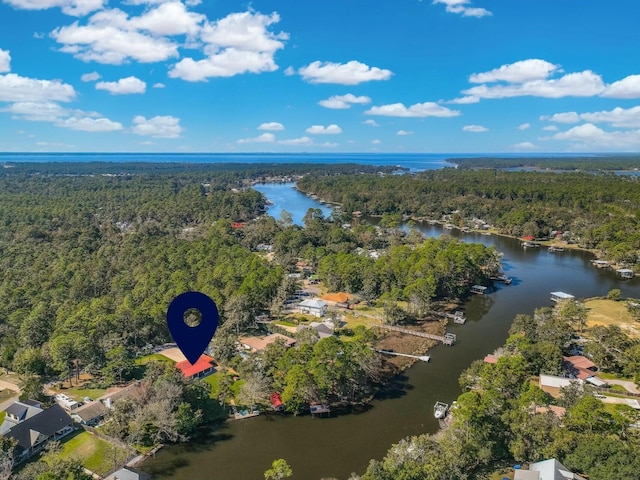 bird's eye view featuring a water view and a wooded view