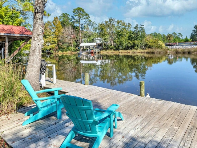 dock area with a water view