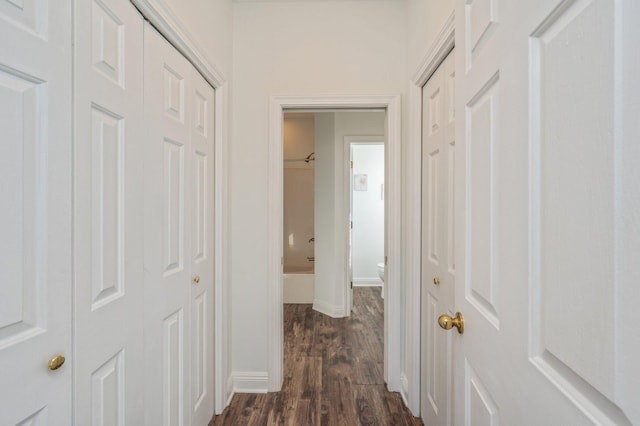 hall featuring dark hardwood / wood-style flooring