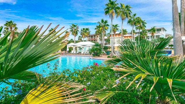 view of swimming pool