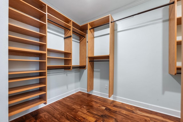 walk in closet with dark wood-style floors