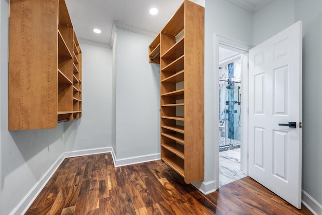 spacious closet with dark wood-style flooring