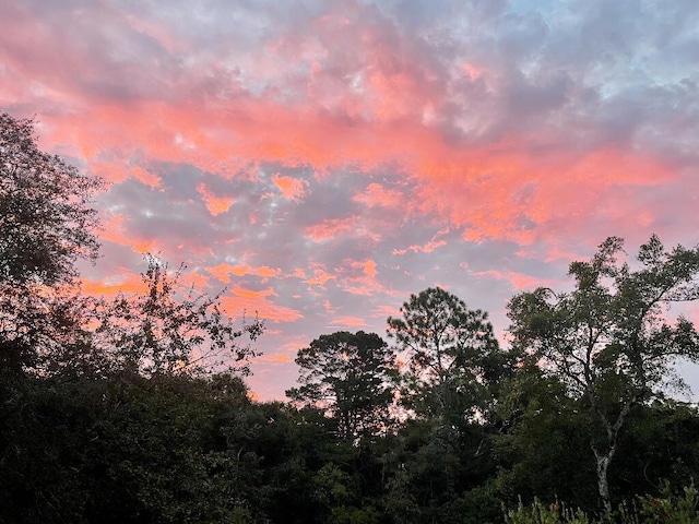 view of nature at dusk