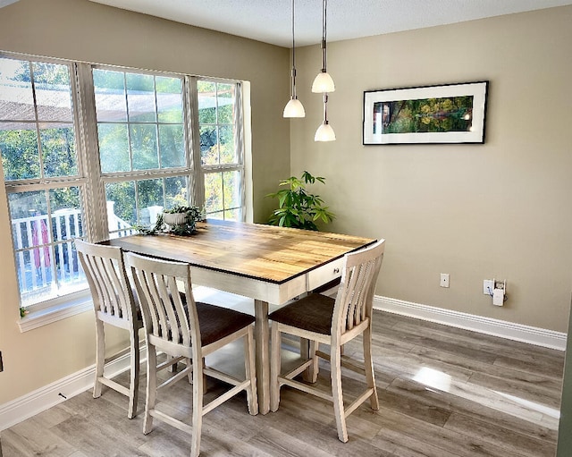 dining room featuring plenty of natural light and hardwood / wood-style floors