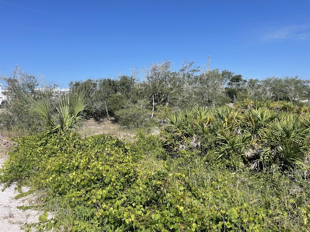 Listing photo 3 for LOT14 Bent Tree Rd, Cape San Blas FL 32456