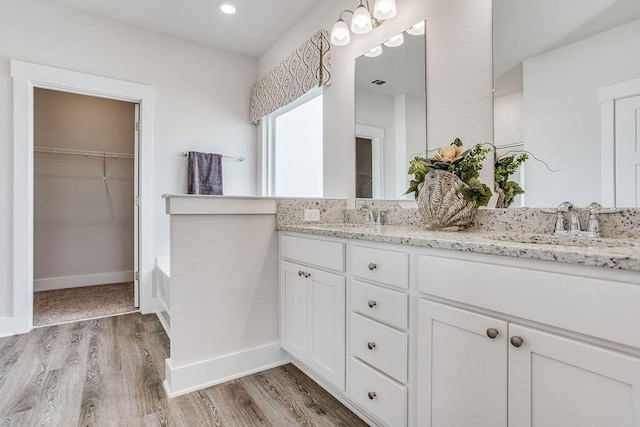 bathroom featuring wood-type flooring and vanity