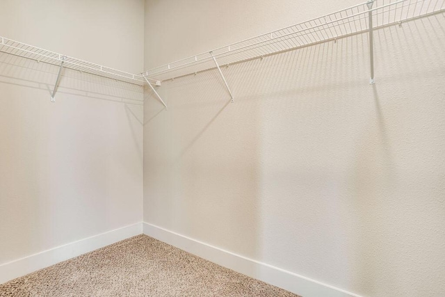 walk in closet with carpet floors