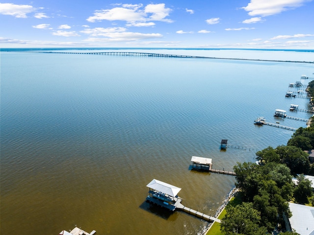 bird's eye view featuring a water view