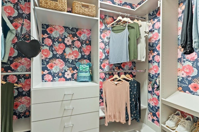 view of walk in closet