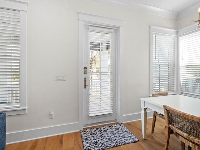 doorway with plenty of natural light and wood-type flooring