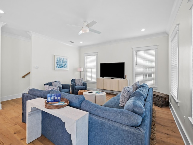 living room featuring light hardwood / wood-style floors, ceiling fan, and ornamental molding