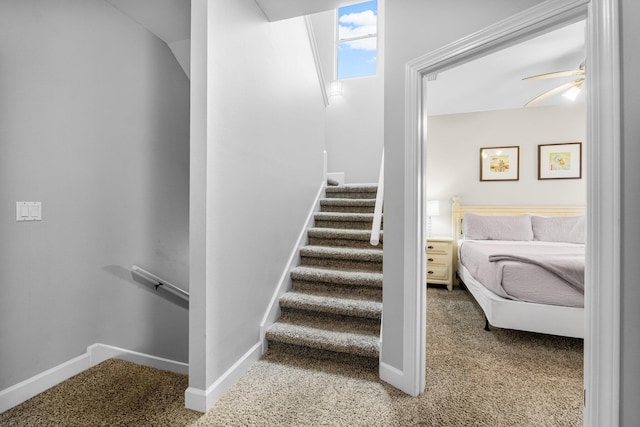 stairway with carpet flooring