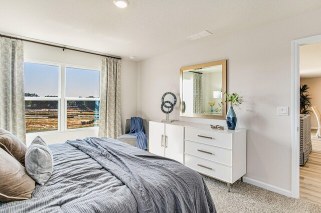 bedroom with a textured ceiling, light carpet, and multiple windows