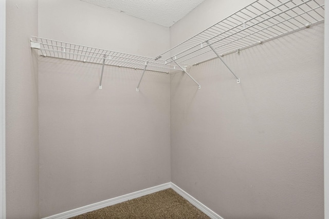 spacious closet with carpet floors