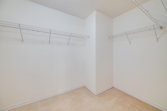 8180 Shooter Ln, Laurel Hill, FL 32567 - spacious closet with light carpet