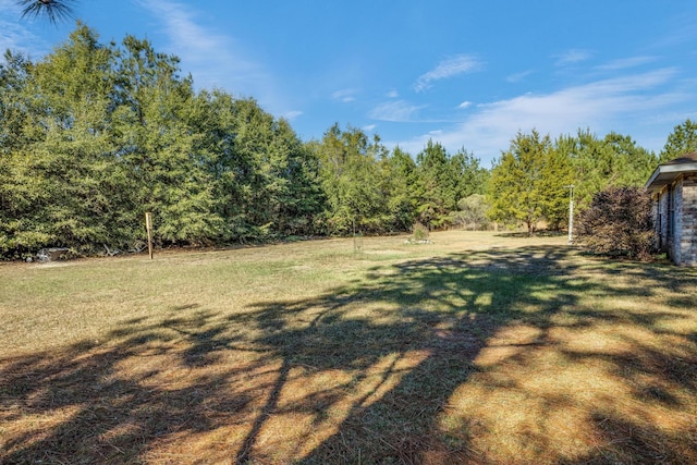8180 Shooter Ln, Laurel Hill, FL 32567 - view of yard