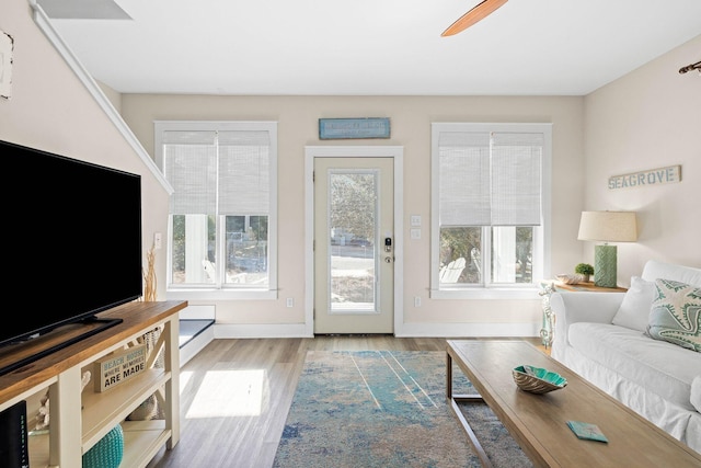 living room with light wood-type flooring, plenty of natural light, and ceiling fan