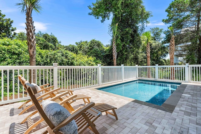 view of pool with a patio