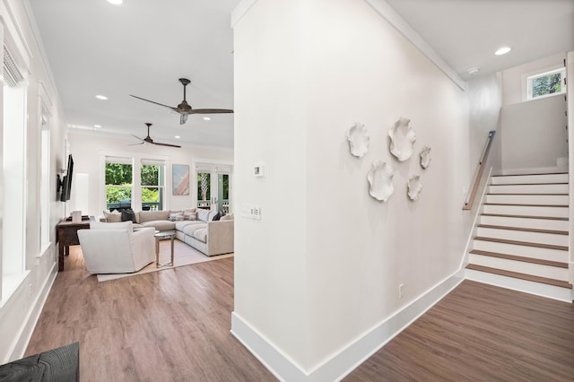 corridor featuring hardwood / wood-style floors and ornamental molding