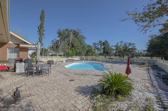 view of pool with a patio area