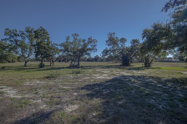 view of yard featuring a rural view