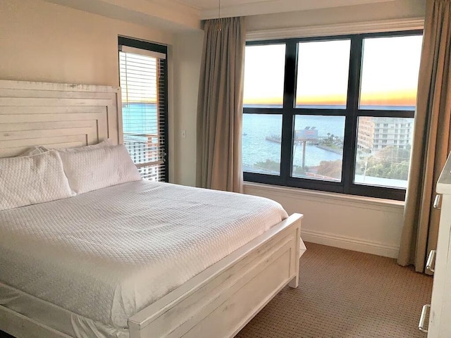 10 Harbor Blvd Unit W528, Destin, FL 32541 - bedroom featuring light carpet, multiple windows, and a water view