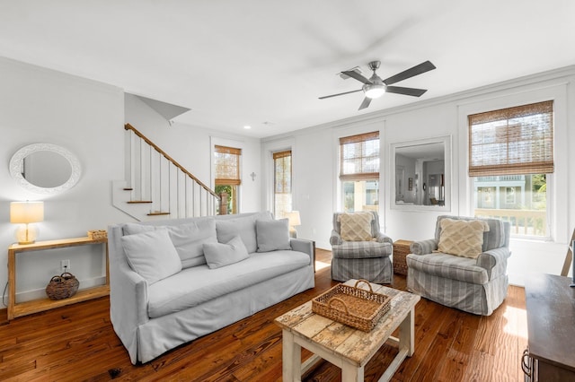 living room with ornamental molding, ceiling fan, and dark wood-type flooring