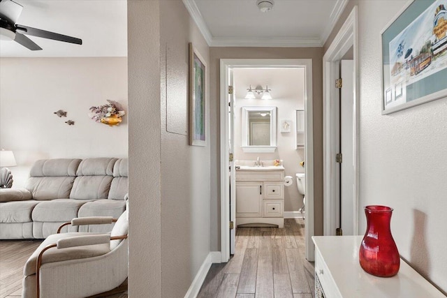 corridor featuring light hardwood / wood-style floors, ornamental molding, and sink