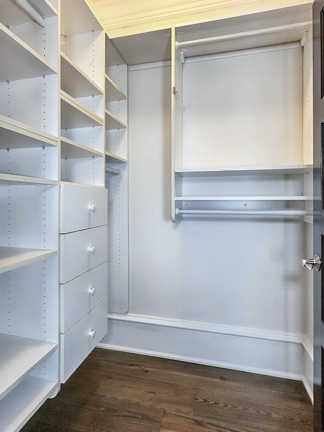 walk in closet featuring dark hardwood / wood-style flooring