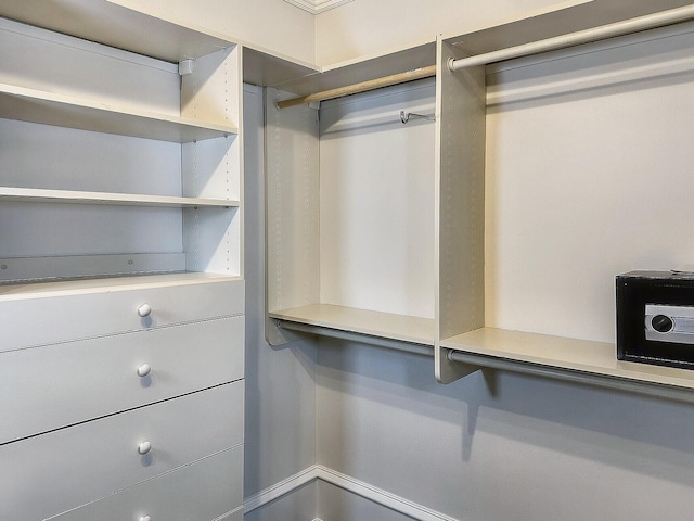 view of spacious closet