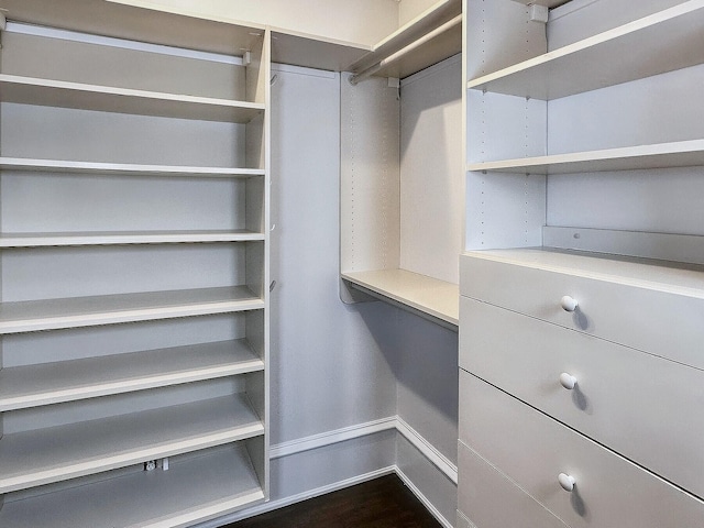 spacious closet with dark wood-type flooring