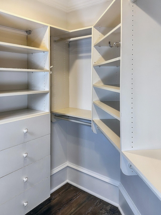 spacious closet featuring dark wood-type flooring