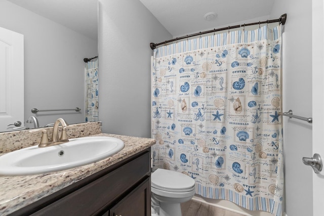 bathroom with toilet, a shower with curtain, hardwood / wood-style flooring, and vanity