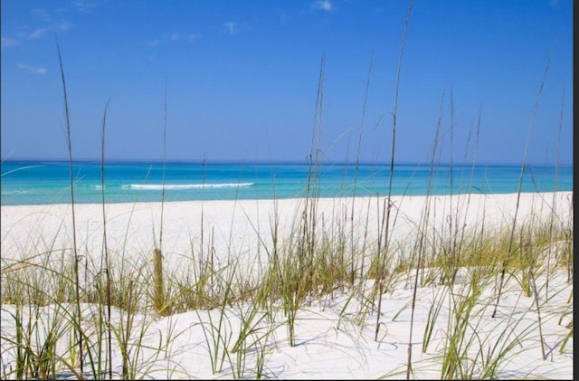 water view featuring a beach view