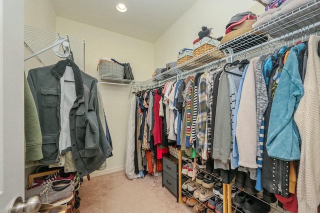 spacious closet featuring carpet flooring