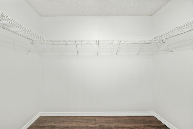 walk in closet featuring dark wood-type flooring