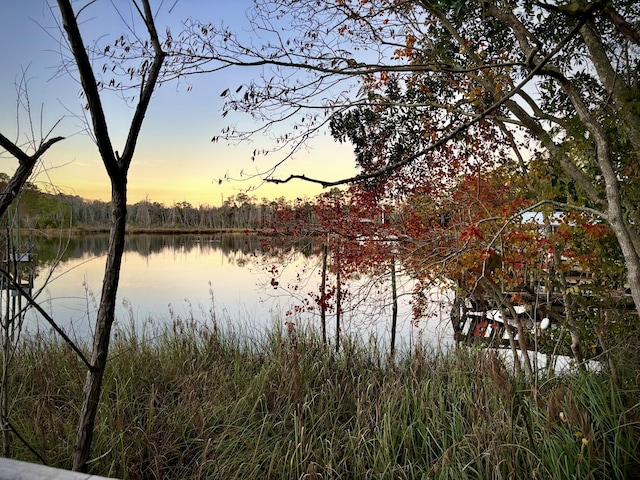 view of water feature