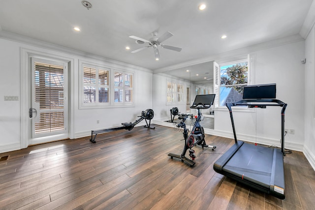 exercise area featuring ceiling fan, ornamental molding, dark wood-type flooring, and a wealth of natural light