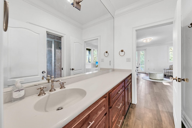 bathroom with vanity, a healthy amount of sunlight, and crown molding