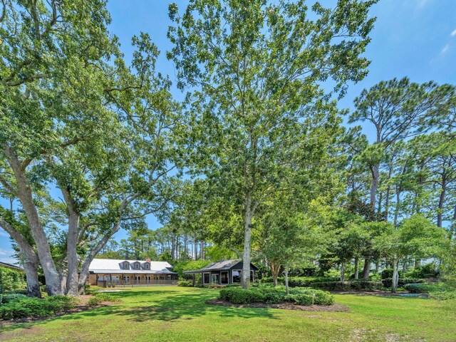 389 Driftwood Point Rd, Santa Rosa Beach, FL 32459 - photo 78